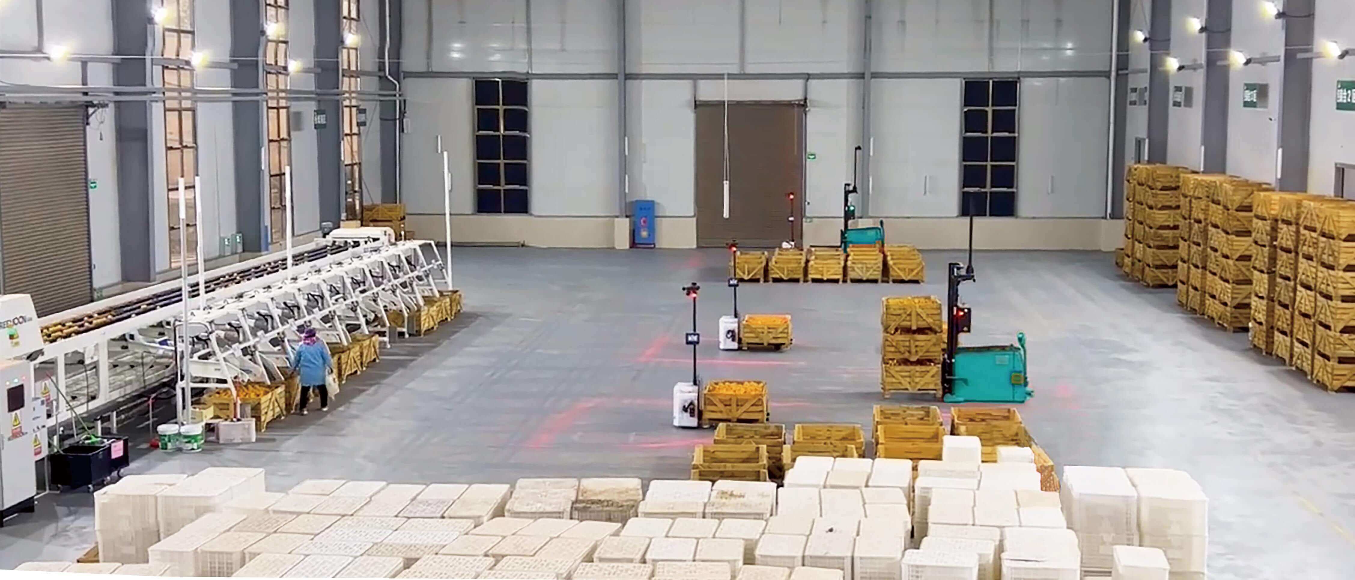 Innovation freisetzen: Multiway Robotics' intelligente Logistik für den Fortschritt in der Landwirtschaft